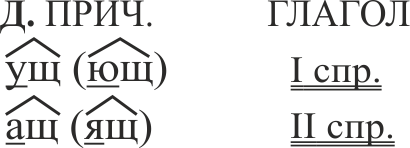 орфограмма 49